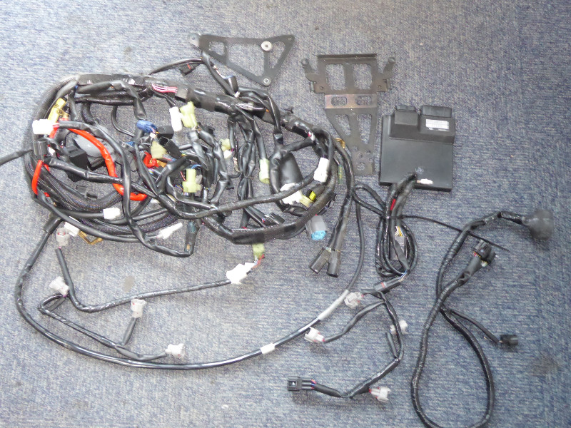 R1 YEC LOOM AND ECU 2015