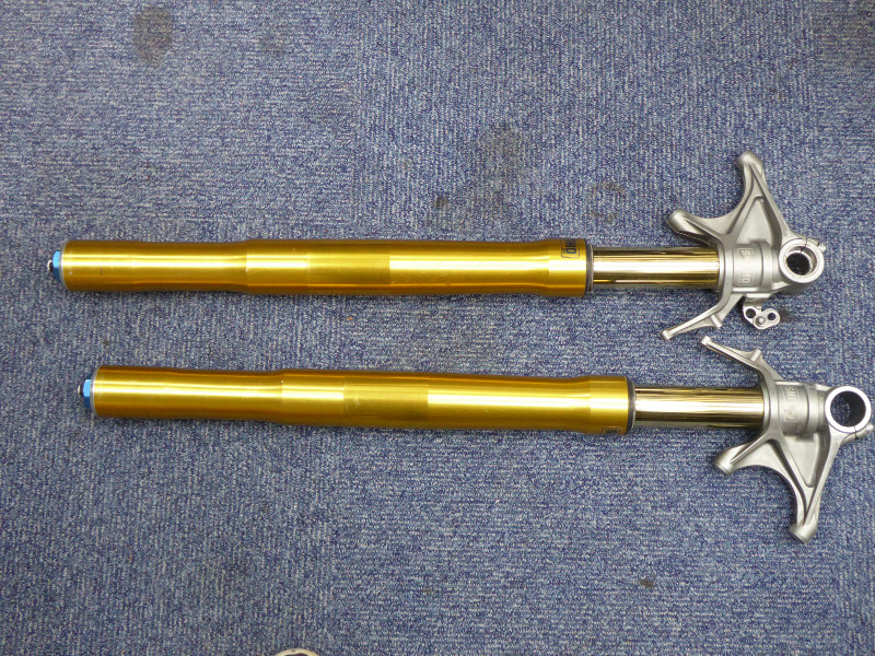 DUCATI PANIGALE V4s OHLINS FORKS